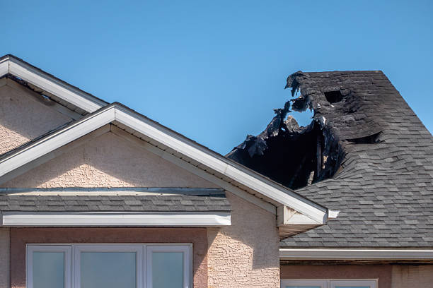 Top rated local Fire Damage Restoration specialists in Plato, MN